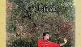 武术基本功教学视频,从基础到精通的修炼之路