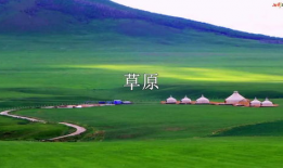 草原视频,广袤无垠的自然画卷