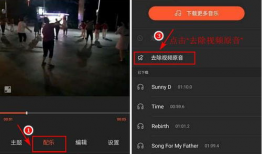 视频消音,视频消音技术揭秘